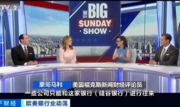 硅谷银行最新爆料新闻,揭秘巨额资金去向与潜在风险