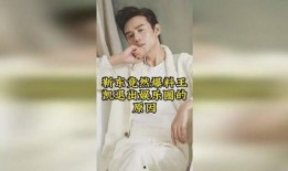 娱乐圈最新爆料王凯小说,与神秘美女共度良宵，小说情节再现娱乐圈