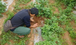 技术者们在线观看土豆