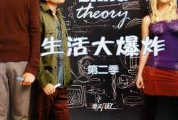 生活大爆炸第二季在线观看,天才们的欢乐日常