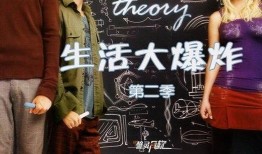 生活大爆炸第二季在线观看,天才们的欢乐日常
