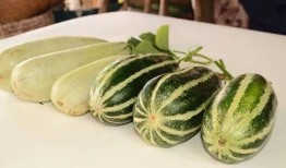 网红吃大瓜,一场关于“大瓜”的美食盛宴