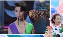 港姐早期 爆料视频播放,揭秘昔日选美风云