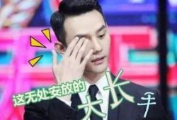 娱乐圈最新爆料王凯小说,与神秘美女共度良宵，小说情节再现娱乐圈