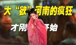 河南疯狂的后在线观看,揭秘网络爆红背后的故事