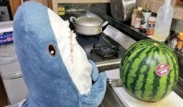 娱乐吃瓜鲨,揭秘娱乐圈那些不为人知的幕后故事