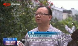 南充新闻头条爆料,揭秘最新爆料事件