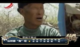 俾鬼捉完整版在线观看,惊悚悬疑，在线惊悚之夜