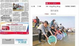 娱乐日报爆料新闻事件视频,最新热点事件视频幕后真相