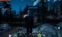 凤雏最新爆料视频,视频内容深度解析