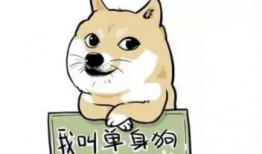 二狗在线观看,笑料百出，温情满满的生活喜剧之旅