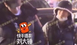 扒叔最新爆料消息视频,最新爆料视频深度解析