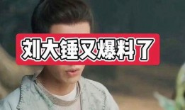 刘大锤最新爆料视频在线,幕后真相大曝光！