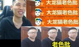 宝哥爆料龙猫视频大全集,龙猫视频大全集，带你领略动画经典魅力