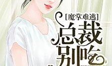 吃瓜媳妇探店小说免费阅读,揭秘美食背后的故事