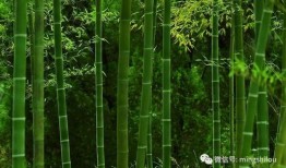 都美竹子最新爆料,揭秘娱乐圈惊人内幕