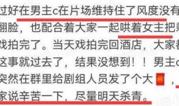 爆料吃瓜事实大爆炸视频,视频爆料背后的真相与争议