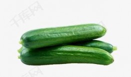 吃瓜八卦群免费下载,免费下载背后的秘密与诱惑