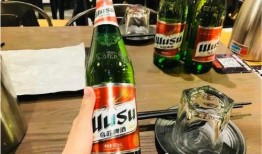 乌苏啤酒爆料视频大全最新,揭秘品牌背后的故事与魅力