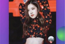 秒拍福利视频在线观看,精彩瞬间一键解锁