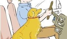 世界趣闻爆料视频,揭秘世界各地的神秘趣事