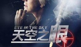 天空之眼电影在线观看,揭秘无人机战争背后的真实故事