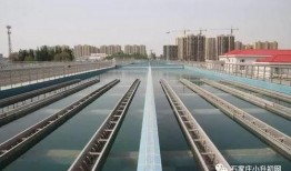 石家庄水厂爆料视频,水质安全问题引关注