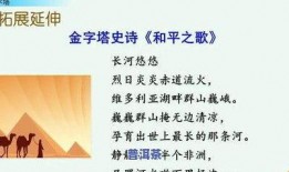 爆料茶叶视频教程大全,揭秘茶叶冲泡与品鉴的奥秘