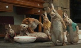 动物世界大爆料视频下载,大爆料视频背后的惊人真相