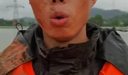 陈阳爆料视频在线观看,揭秘幕后真相，带你走进事件核心