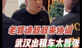爆料牛群骂街事件视频大全,一场网络风波的真相揭秘