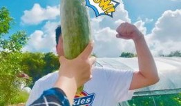 网红吃瓜糗事百科,揭秘娱乐圈幕后趣闻