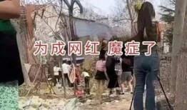 河南疯狂的后在线观看,揭秘网络爆红背后的故事