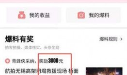 在头条怎么发爆料视频,轻松发布你的独家新闻