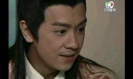 叶璇爆料陈浩民视频播放,真相与争议