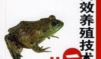 牛蛙饲养爆料视频教程图片