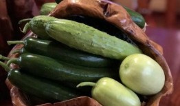 网红吃瓜聚集地,揭秘网络热点背后的秘密聚集地