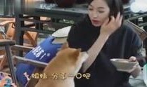 综艺八卦爆料最新视频在线观看,明星幕后故事大揭秘