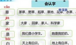 爆料茶叶视频教程大全,揭秘茶叶冲泡与品鉴的奥秘