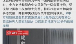 法媒爆料佩洛西新闻报道,揭秘美国国会动态”