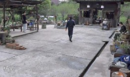 君言君语被爆料视频,揭秘明星幕后真相