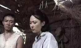 电视剧情债全集在线观看,爱恨交织的情感纠葛